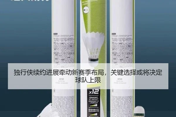 独行侠续约进展牵动新赛季布局，关键选择或将决定球队上限